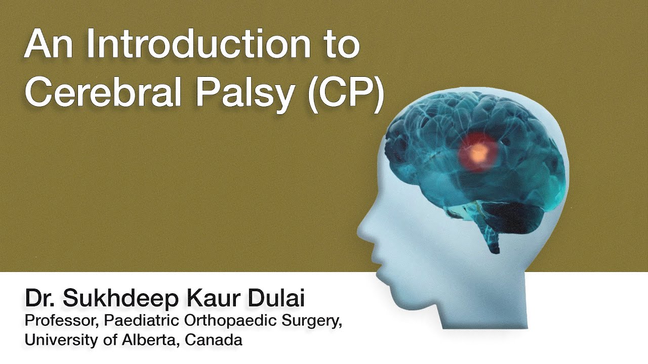 An Introduction to Cerebral Palsy (CP)