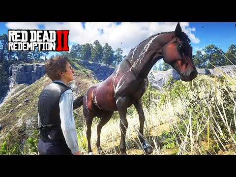 GAROTOS DOMADORES - Domando o PURO-SANGUE ÁRABE RAJADO com o JACK e o DUNCAN   Red Dead Redemption 2