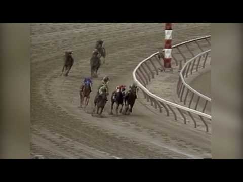 Andy and the Mig - 1987 Wood Memorial