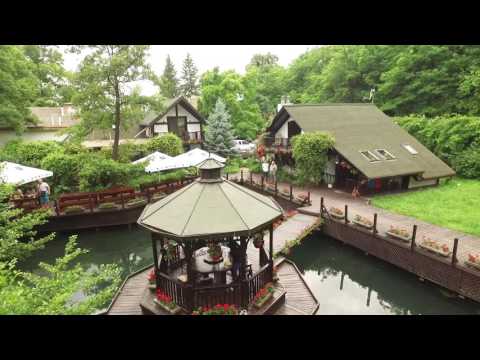 Casa din Padure - In mijlocul naturii