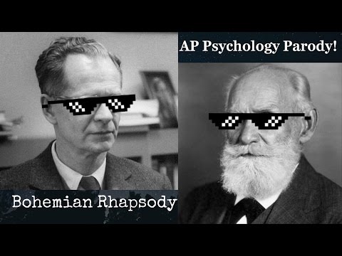 AP Psychology Song Parody of Bohemian Rhapsody | Lyrics | Study Guide :)