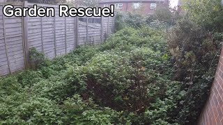 2 Years of Nature Taking Over - Overgrown Garden Rescue