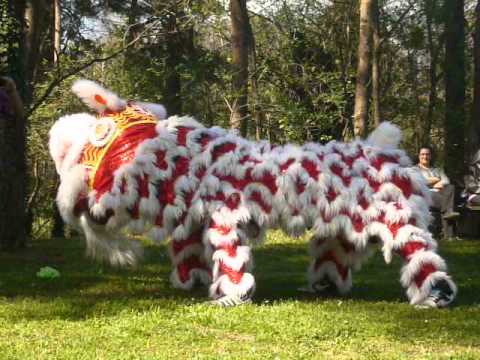 Esibizione a cura dell'ASD Casatesport