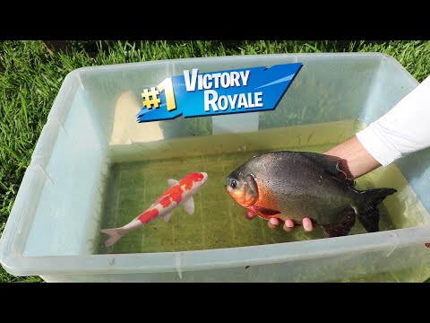 Fish BATTLE ROYAL!! Craziest Fish WINS!