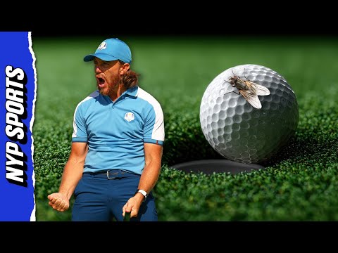 Is It Possible a FLY Helped Golfer Tommy Fleetwood Sink This Putt? Physicist Explains Viral Video