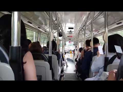 BC Naz SMB112X svc 971 Flooring + Expressway