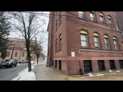 Immaculate Conception