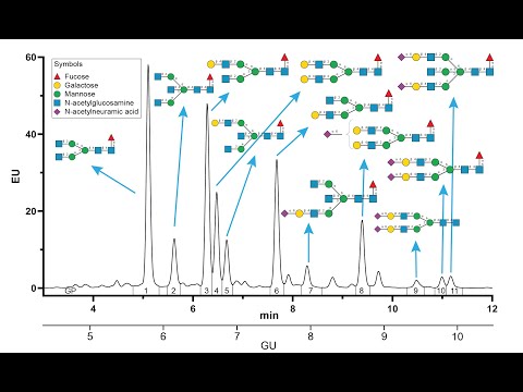 Create representative chromatograms with glycan structures