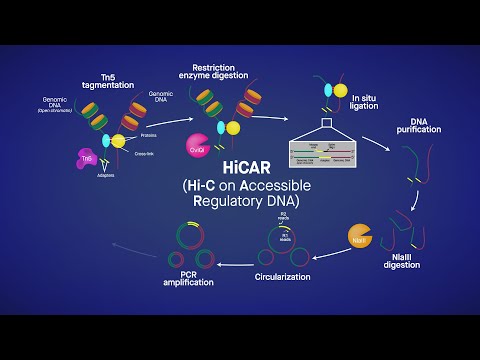A robust, sensitive method for analyzing genome sequences in 3D