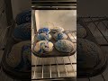 Cake Baking Scenery Chocolate Food Shorts Yummy Cake Youtubeshorts