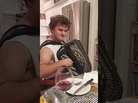 Bibovo Kolo (Novica Negovanovic)