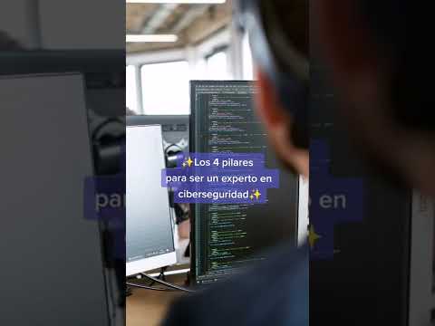 CONSEJO DE EXPERTO