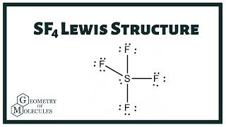 SF4 Lewis Structure | How to Draw the Lewis Structure for SF4