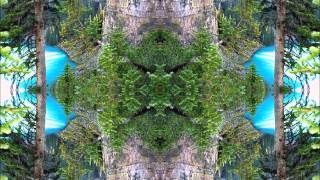 Satori - Neureality