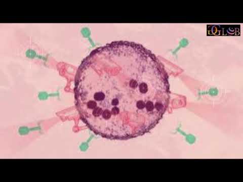 AI uncovers hidden immune defenses inside bacteria