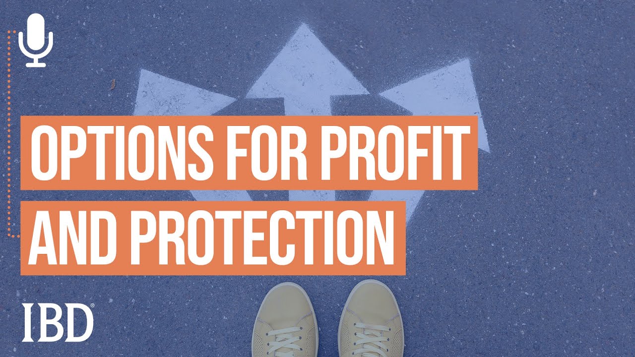 Najarian Explains How To Put On Options For Profit And Protection