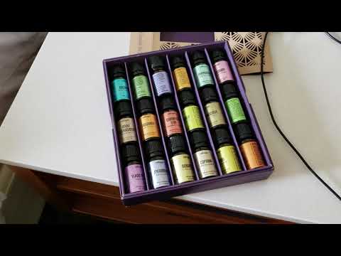 Springhill Suites by Marriott Lansing, Michigan: 2 Double Beds Suite Reveal