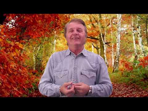 Vladimir Flajs: Žuto lišće popadalo