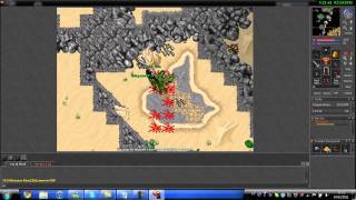 Tibia - Dragon - Level 26 - Knight - Bronzor Kina