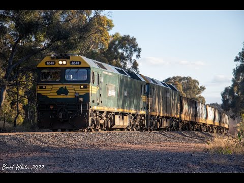 Double Freight Australia Green G's on 9157 PN Ultima Grain at Llanelly- 29/11/22