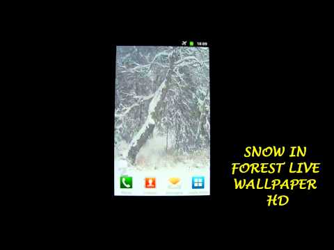 Snow in Forest Live Wallpaper Video