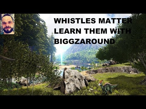 Group Whistles Not Working Ark Survival Evolved General Discussions