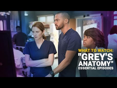 Greys Anatomy Cast Imdb
