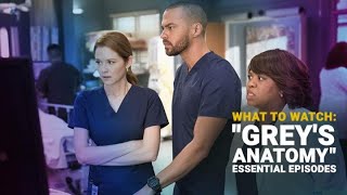 The “Grey’s Anatomy” Doctors Pick Their Own Must-See Episodes