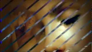 Right In The Night  ~ Whigfield