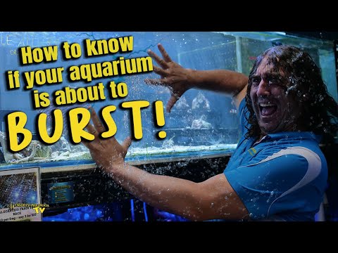 How to know if your aquarium is about to BURST!