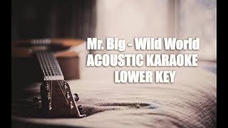 Download lagu Mr. Big - Wild World - Acoustic Karaoke Lower Key mp3 Download lagu Mr. Big - Wild World - Acoustic Karaoke Lower Key mp3