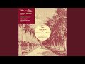 Monkey See — Monkey Do (Jack Tennis Rework)