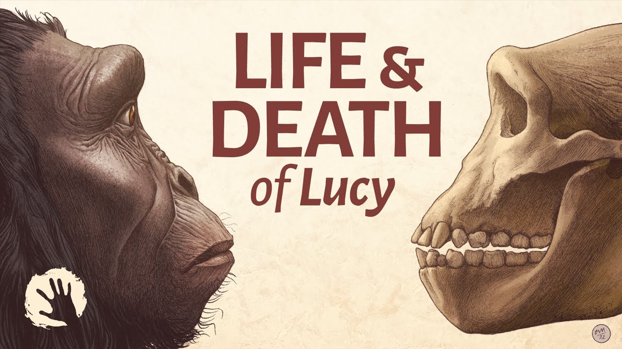 Life And Death 3,000,000 Years Ago