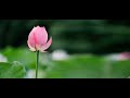 Metta Sutta Chanting By Bhante Indarathana