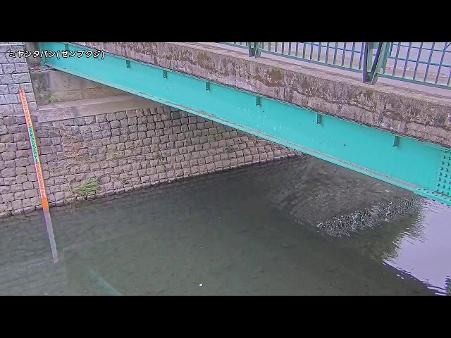 宮下橋映像監視局