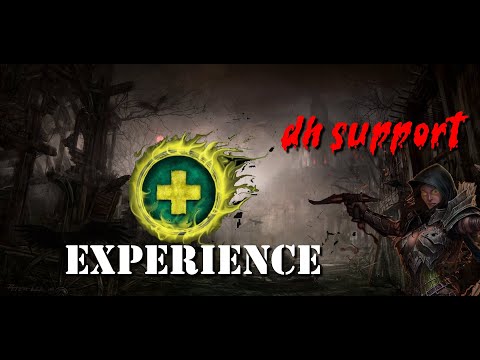 Diablo 3 - Demon hunter support experience