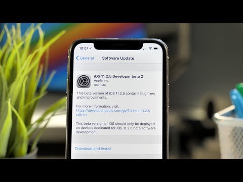 iOS 11.2.5 Beta 2 Released! SLOWER!