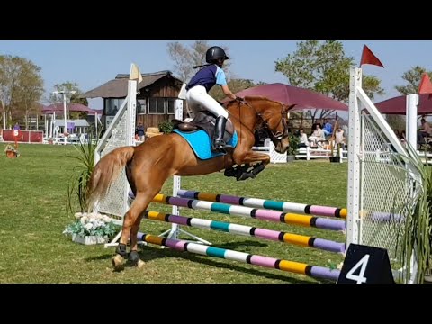 Seyunique Equestrian - 5th at Nationals out of 50 riders. 2018