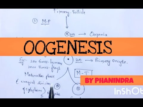 Inter 2nd year SYNAPTIC TRANSMISSION ZOOLOGY