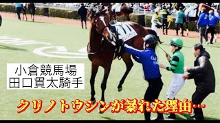 【競馬】田口貫太騎手が負傷した件クリノトウシンが暴れた理由について考察しました