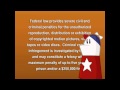 FBI Warning Strongbad Email Exe Disc One