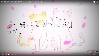 【重音テト×はる】光 MV
