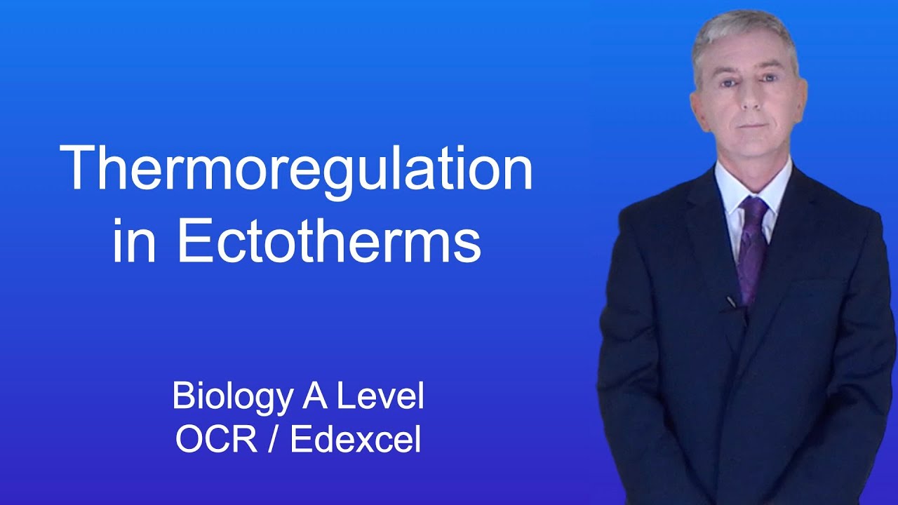 A Level Biology Revision (Year 13) "Thermoregulation in Ectotherms"