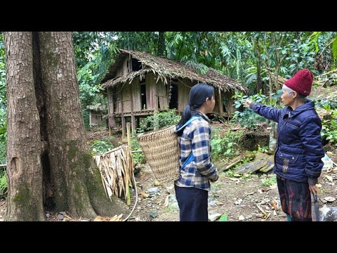 Kind woman gives single mother an abandoned house – Life starts from zero