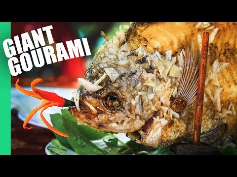 The Ultimate MEKONG DELTA Tour  | Eating a GIANT GOURAMI!!