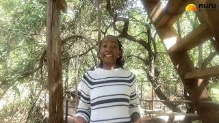 Nuru Solutions