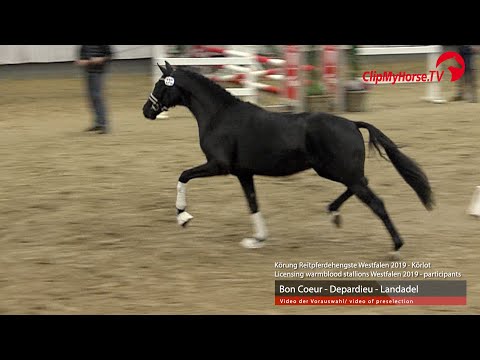 Hengst v. Bon Coeur - Depardieu - Landadel