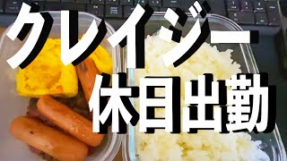 【工場勤務VLOG】独身32歳の休日出勤