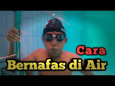 Cara Mudah Bernafas Di Dalam Air Saat Renang