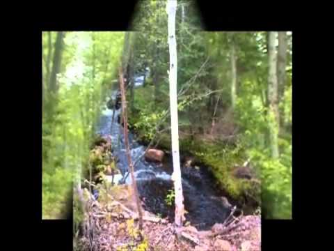 Nos souvenirs de 2013